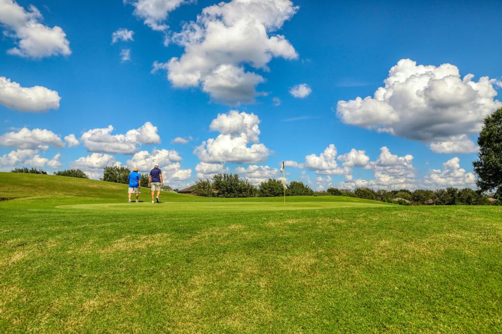 Golf course green beneath blue sky